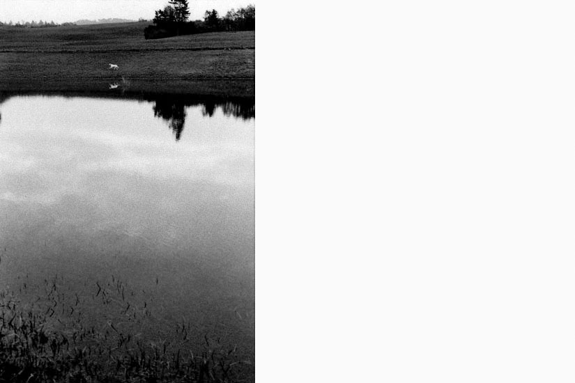 QuandoAppare_003